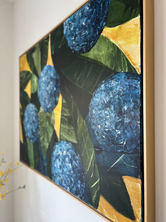 37x48 hydrangea blooms